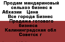 Продам мандариновый сельхоз-бизнес в Абхазии › Цена ­ 1 000 000 - Все города Бизнес » Продажа готового бизнеса   . Калининградская обл.,Советск г.